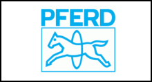 Pferd
